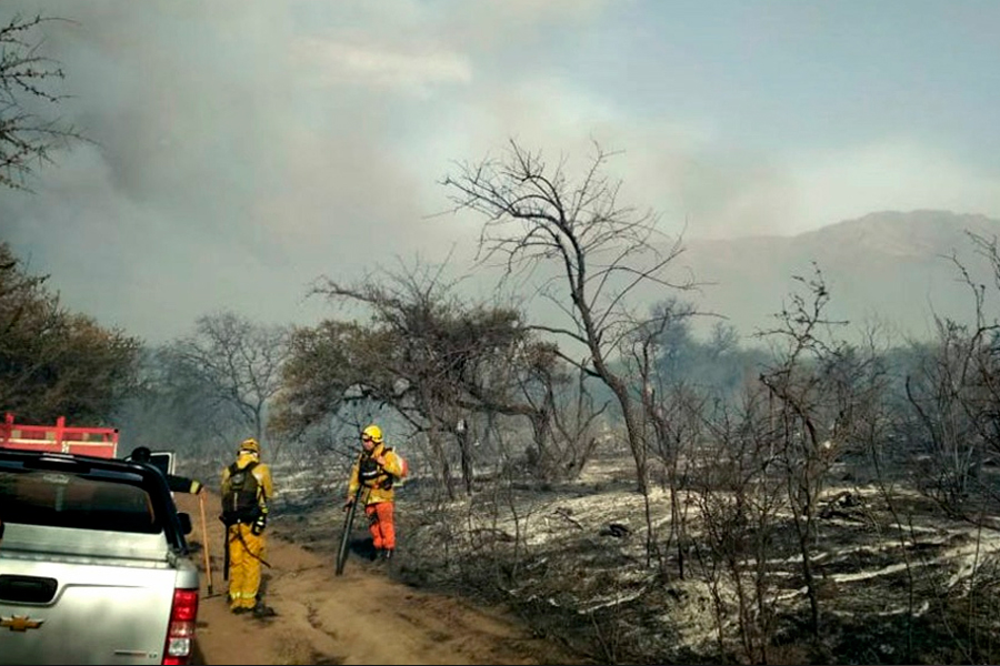 Los Incendios Quemaron Más De 40 000 Hectáreas En Los últimos 14 Días