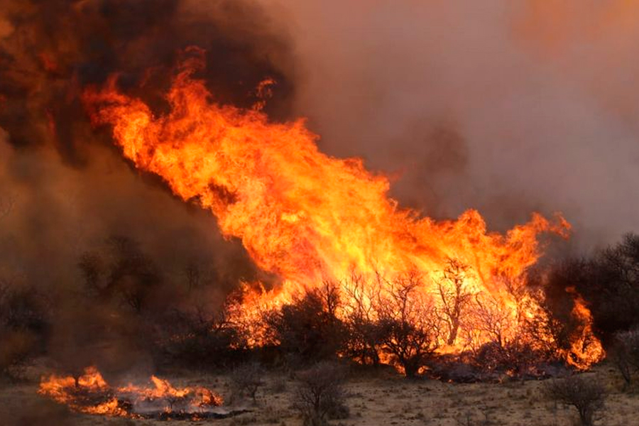 Se registran tres focos activos de incendios en Entre Ríos - Nox News